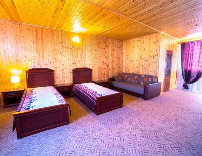 Стандарт 2-местный 1-комнатный Стандарт Комфорт 35 м2 - База отдыха «Апсны» Гудаута